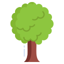 Árbol