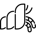 Краб 