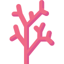 coral icon