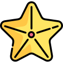 estrella de mar icon