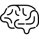 cérebro icon