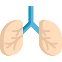 Lungs icon