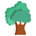 Árbol icon