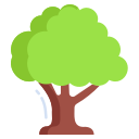 Árbol icon