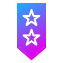 insignia icon