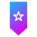 insignia icon