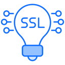 ssl icon