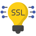 ssl icon