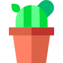 cactus icon