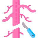 cirugía vascular icon