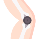 rodilla icon