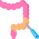 cirugía colorrectal icon