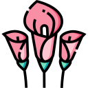 백합 