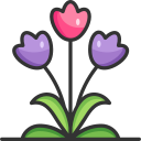 tulipanes icon