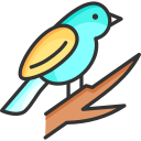 pájaro icon