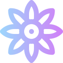 girasol icon