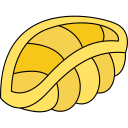 conchiglie