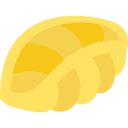 conchiglie icon