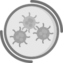 bacterias icon