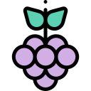 uvas icon