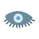 ojo icon