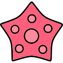 estrella de mar