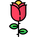 rosa icon