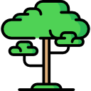 Árbol icon