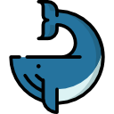 ballena icon