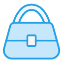 bolso icon