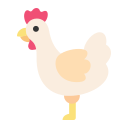 pollo