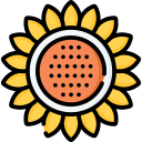 girasol icon