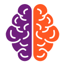 cerebro humano