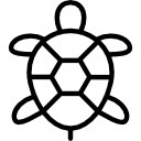 tortuga icon