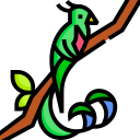 quetzal resplandecente 