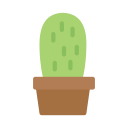 cactus icon