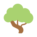 bonsai icon