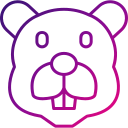 castor 