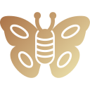 mariposa icon