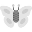 mariposa icon