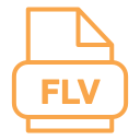 archivo flv icon