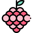 uvas icon