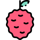 lychee icon