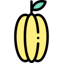 carambola icon