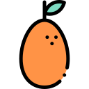 naranja china icon