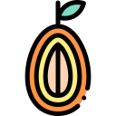 naranja china icon