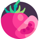 tomate icon