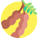 tamarindo icon