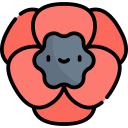 amapola icon