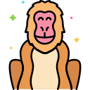 macaco icon